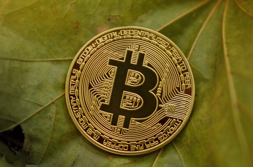 bitcoin in amazzonia